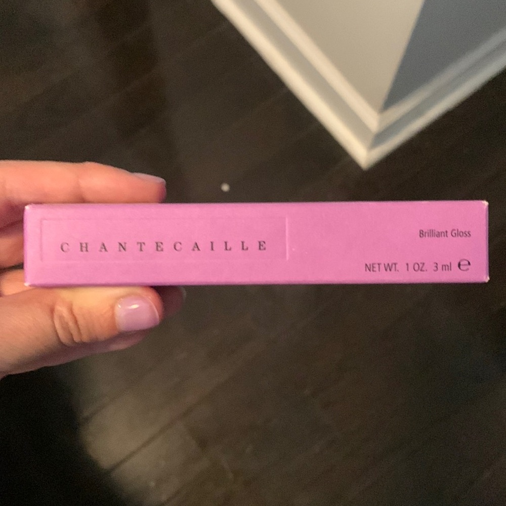 NEVER OPENED Chantecaille Lip Gloss